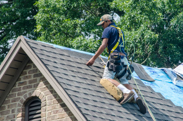 Best Roof Gutter Cleaning  in Kersey, CO